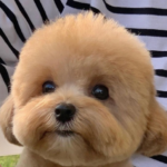 暴龙游戏测评的头像-游昕怀旧手游论坛