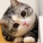 饺子怀旧手游的头像-游昕怀旧手游论坛