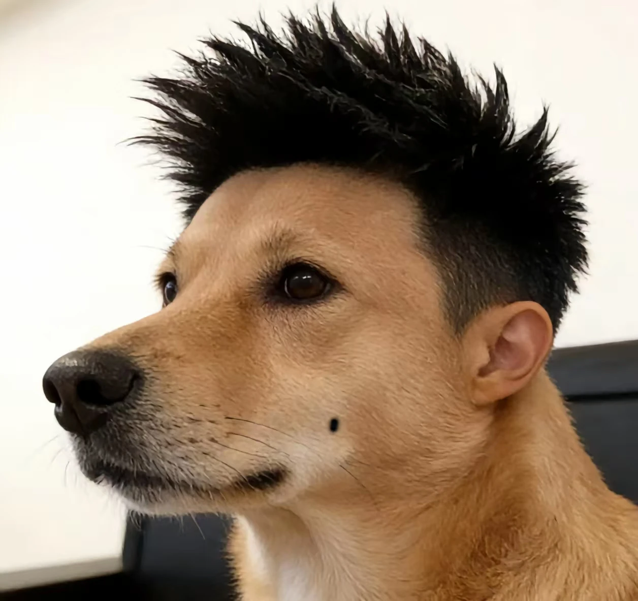 叁念的头像-游昕怀旧手游论坛